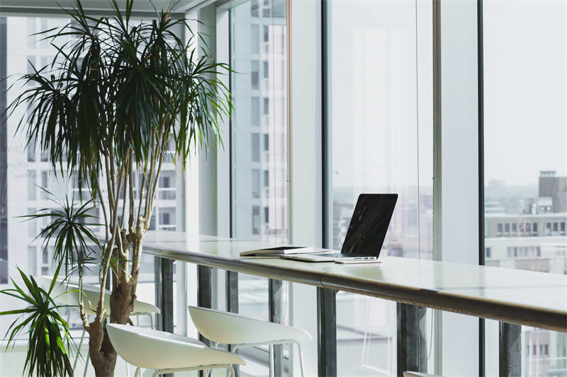 Harnessing the Power of Digital Marketing for Your Website